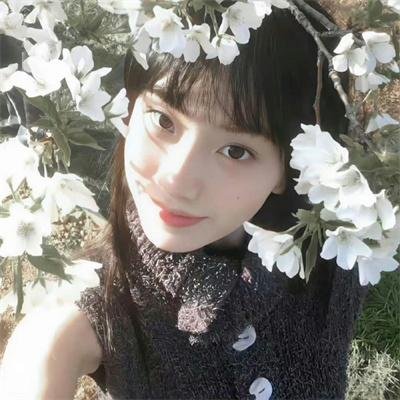 雏妓